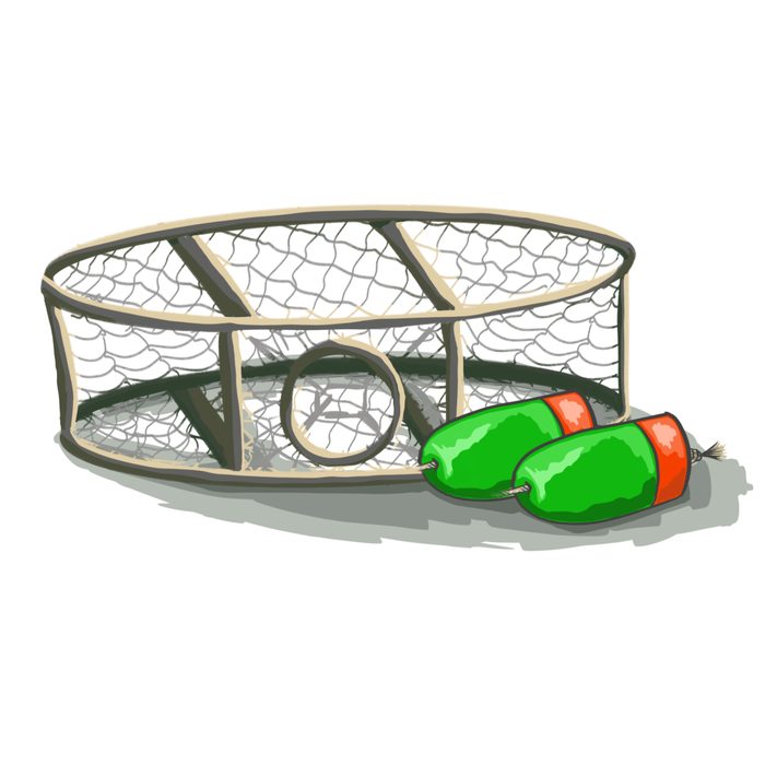 Illustration of a crab trap