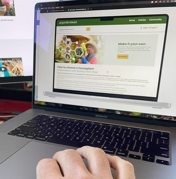 Photo of a laptop displaying the Gardenstead prototype during usability testing